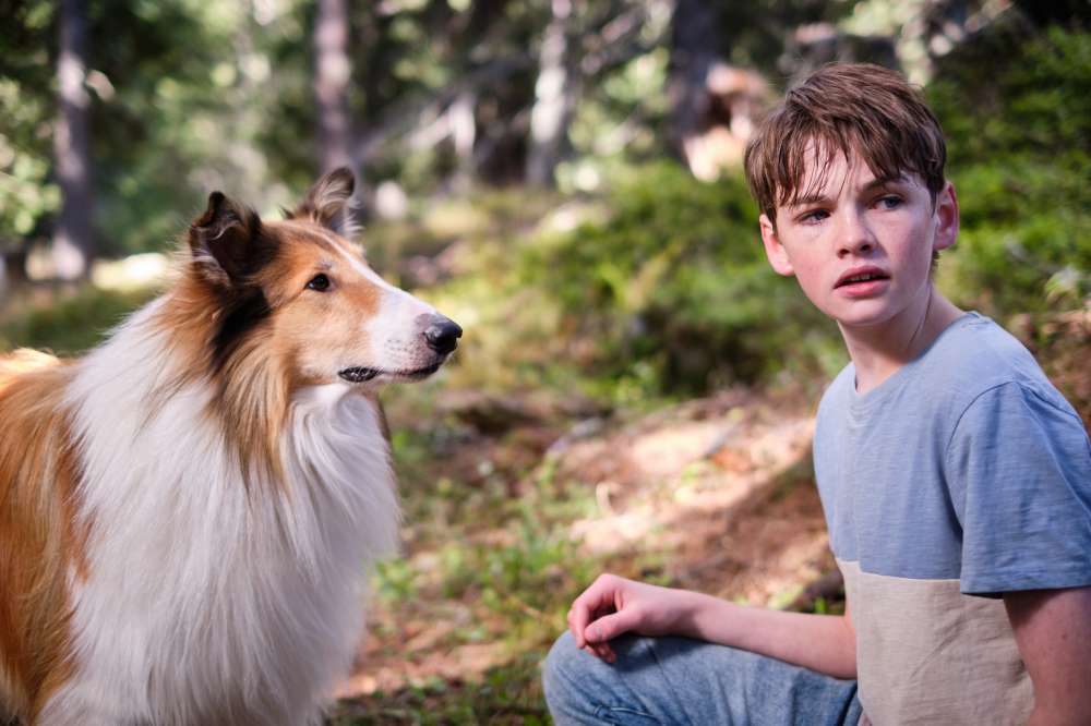 Lassie 2